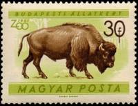 (1961-003) Марка Венгрия "Бизон"    Зоопарк Будапешта II Θ